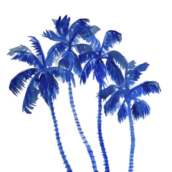 cobaltpalm